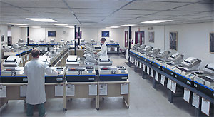 SAMPLE TYPES