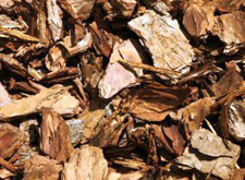 radiocarbon wood and charcoal pretreatment radiocarbon wood and charcoal pretreatment