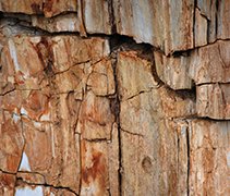 When does carbon dating stop working